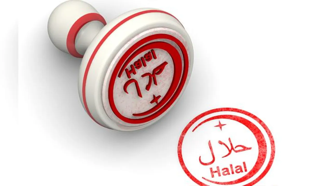 Awas! Meski Berlabel Halal Tapi Ada Yang Mengandung Babi, Yuk Umat Dilindungi
