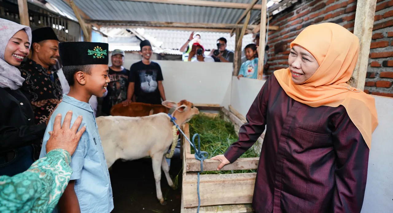 Beri Dua Anak Sapi, Gubernur Khofifah Wujudkan Cita-Cita Nanda