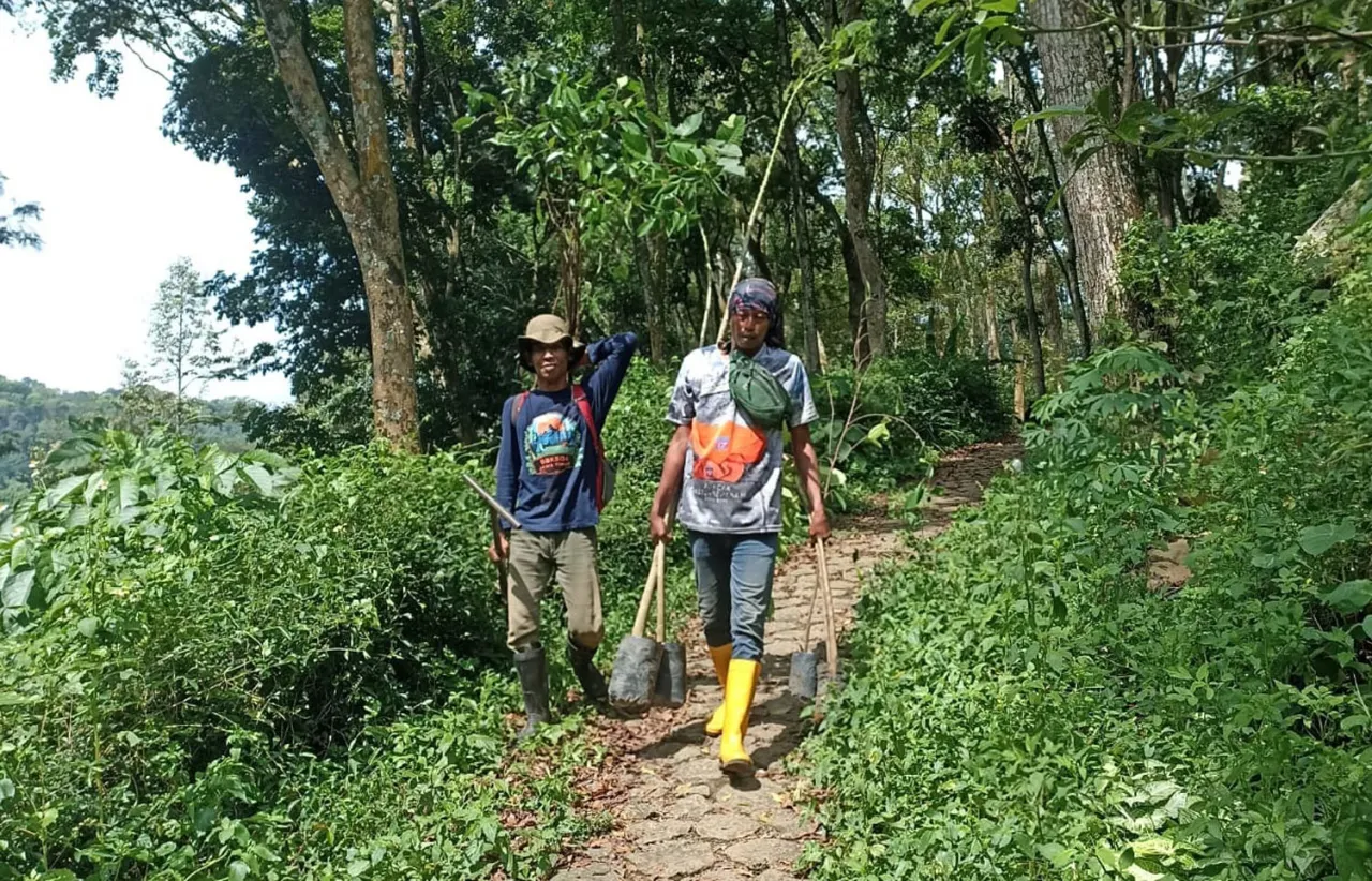 IKMSR Tanam Pohon di Lereng Gunung Emas, Lestarikan Alam dan Ekonomi Warga