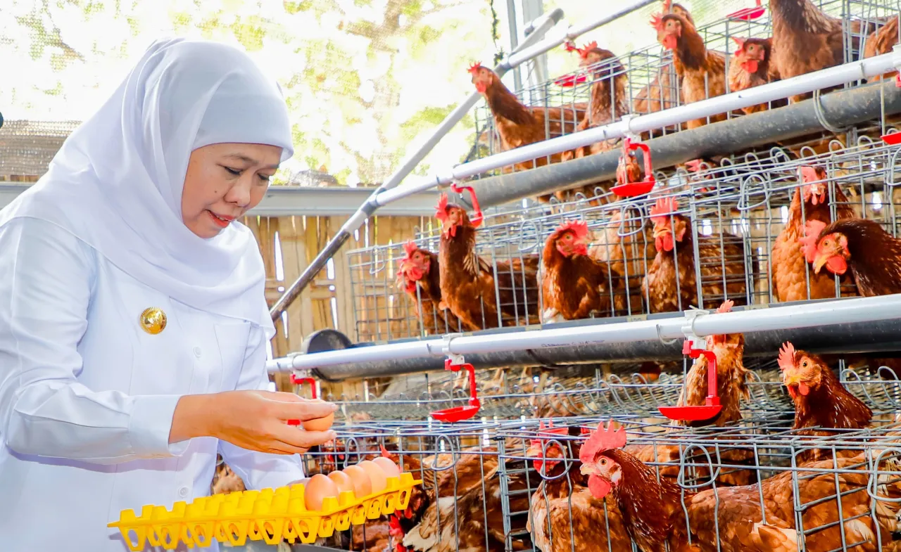 Gubernur Khofifah Siap Replikasi Integrated Farming untuk Wujudkan Kedaulatan Pangan