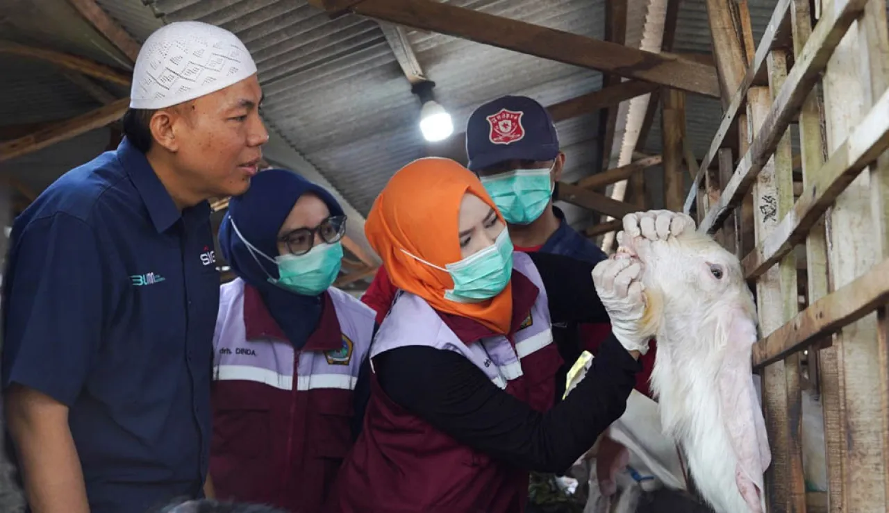 SIG Bagikan 237 Ekor Hewan Kurban di 20 Provinsi untuk Idul Adha 1446 H