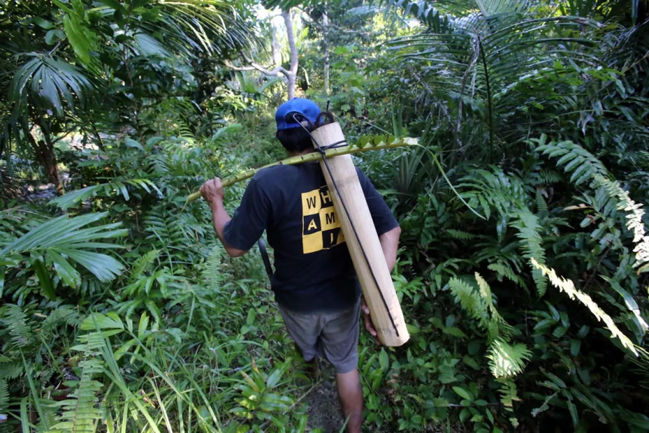 Menyusuri Kelembutan Warisan Gula Aren di Balik Gunung, Bawean