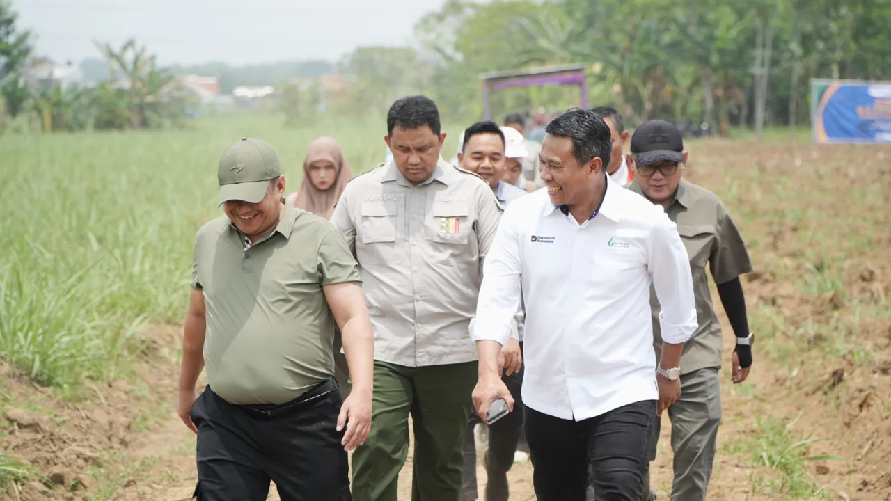 Ditjenbun Pastikan Bongkar Ratoon PT SGN Berjalan, Targetkan Produktivitas dan Ketahanan Pangan