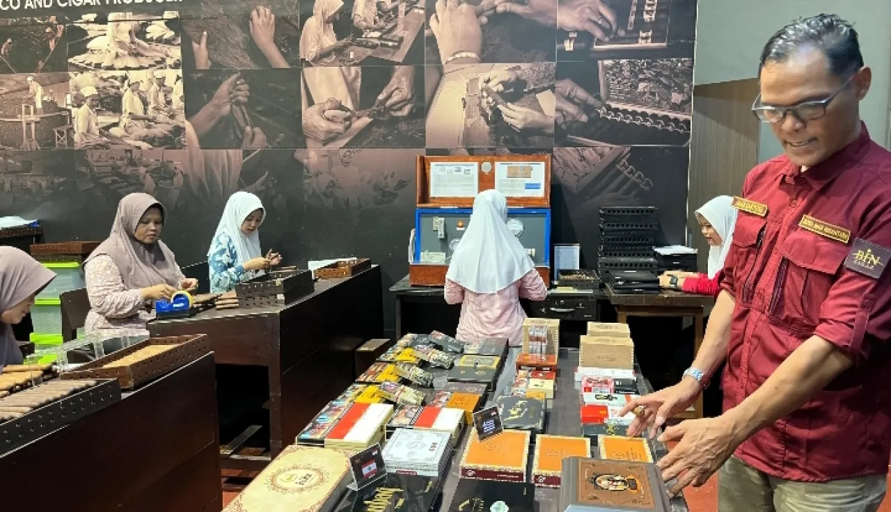 Cerutu Jember: Warisan Tembakau yang Kini Mendunia