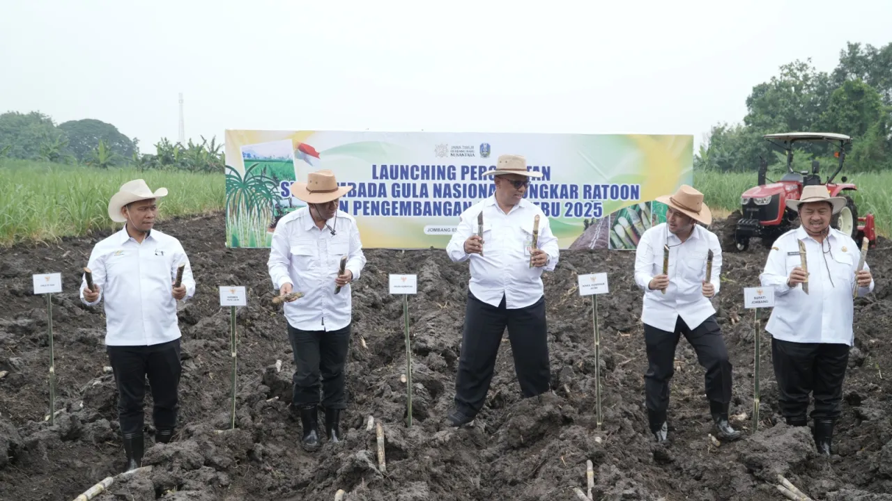 PT SGN dan Wagub Emil Targetkan 200 Ribu Hektare Bongkar Ratoon