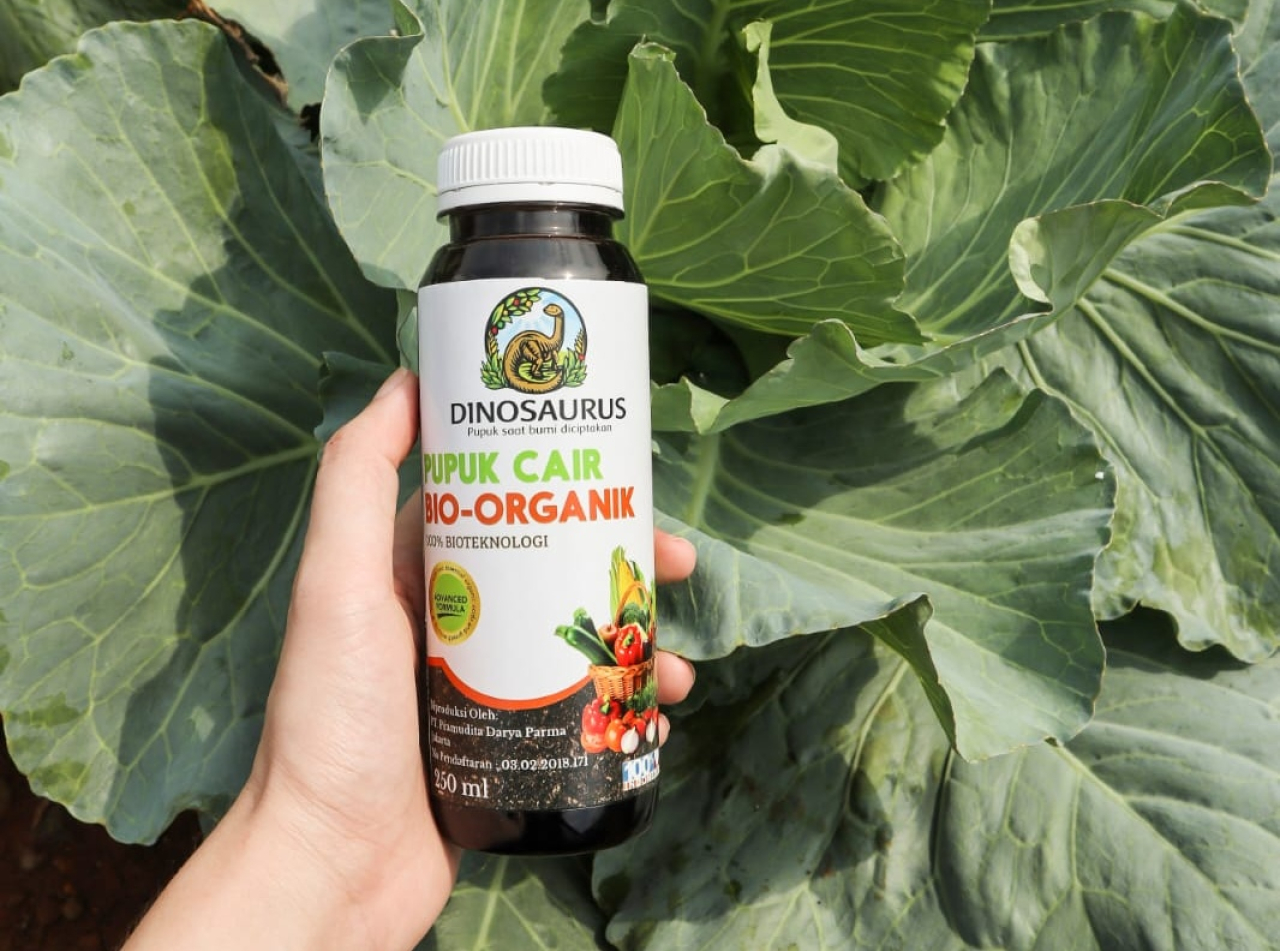 Pupuk Dinosaurus juga kaya akan unsur hara mikro dan makro, serta bakteri baik yang membantu proses fiksasi nitrogen, penyerapan phospat, dan kalium. Foto/Ayojatim