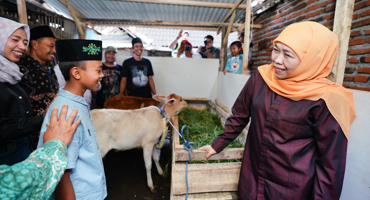Gubernur Khofifah mengantar langsung sapi untuk Nanda. foto: humprov for ayojatim.