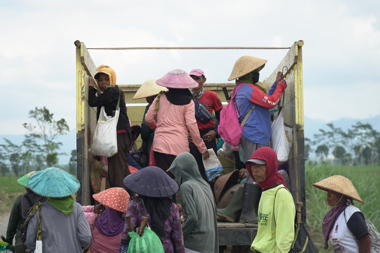 SGN PG Glenmore: Inovasi, Pemberdayaan Lokal, dan Masa Depan Industri Gula Berkelanjutan