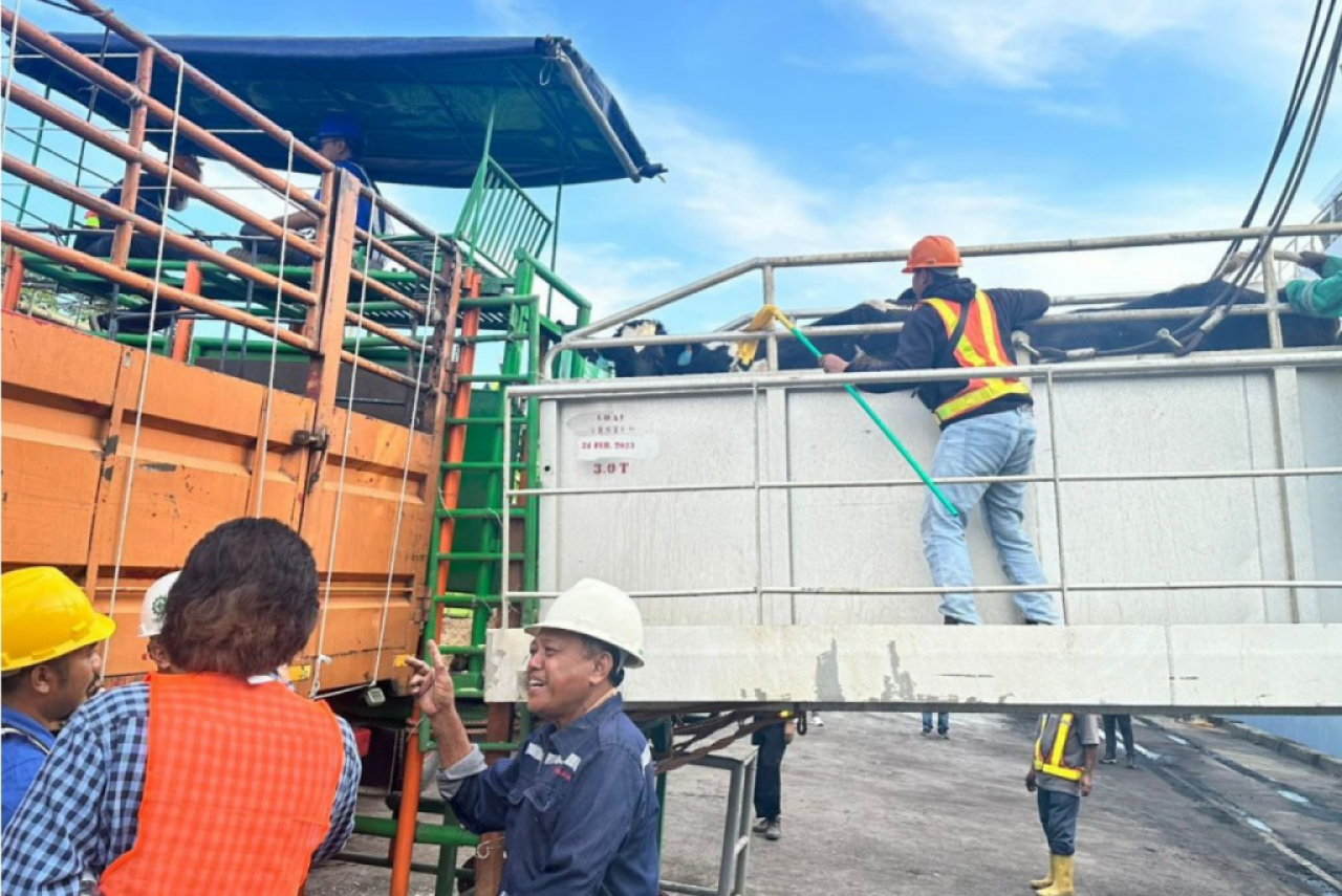 Pelindo dan Kementerian Pertanian Bangun Instalasi Karantina Hewan di Cilacap