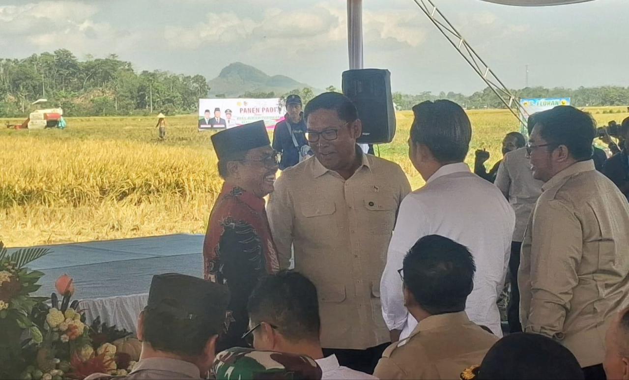 Bupati Jember Gus Fawait Dampingi Wamentan RI Panen Raya: Jember Juara Serapan Gabah se-Jatim