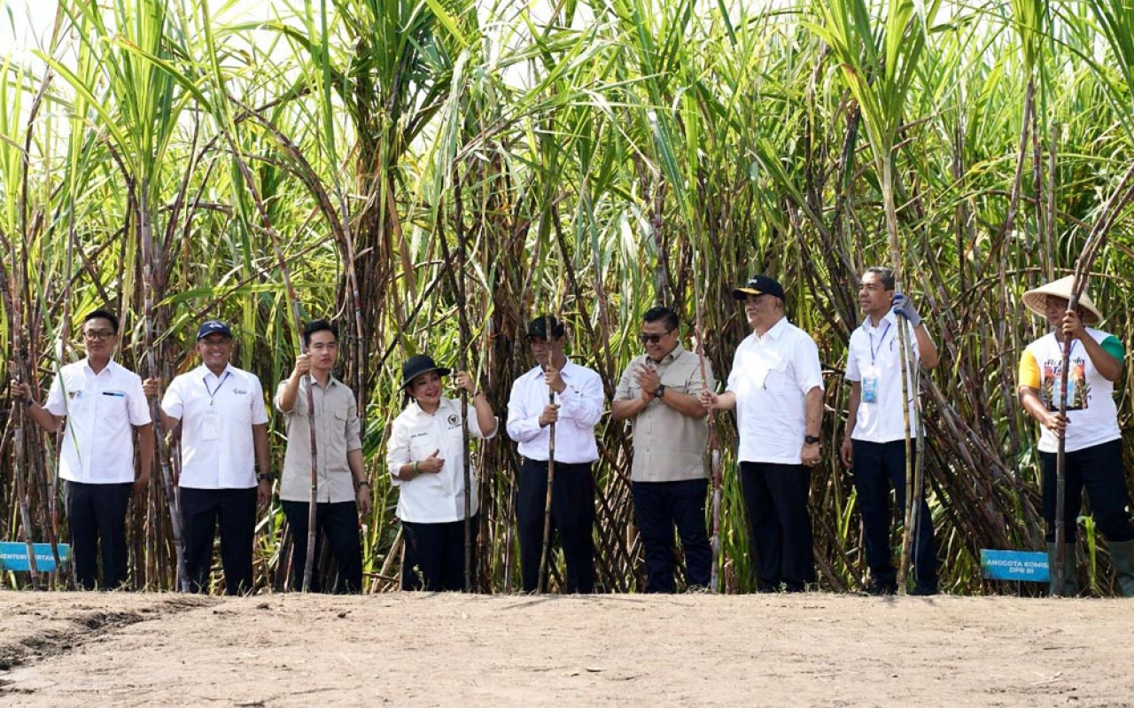 Panen Raya Tebu Bersama Wapres Gibran, Pupuk Indonesia Dukung Swasembada Gula Nasional