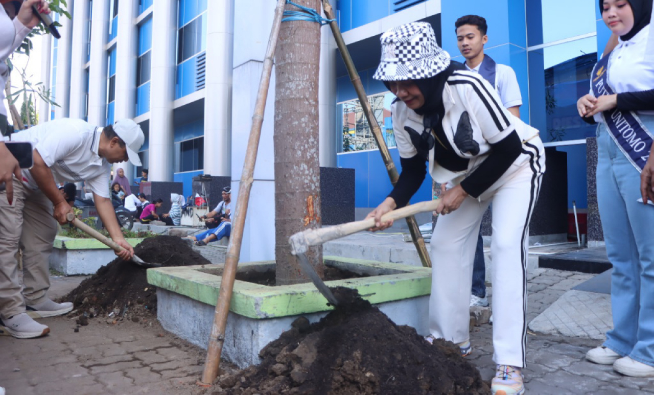 Kegiatan penghijauan penanaman pohon Tabebuya dan Palem di sekitar halaman kampus Unitomo. Foto/Humas