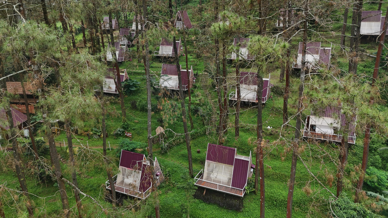 Locca Lodge Trawas Penginpan Berkonsep Glamping di Trawas, Tawarkan Promo "Merdeka One Piece" Rayakan HUT RI