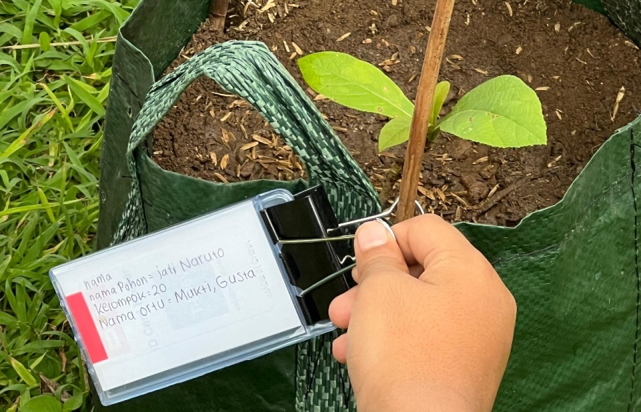 Proses anak-anak memberikan nama untuk pohon Jati yang mereka tanam. 