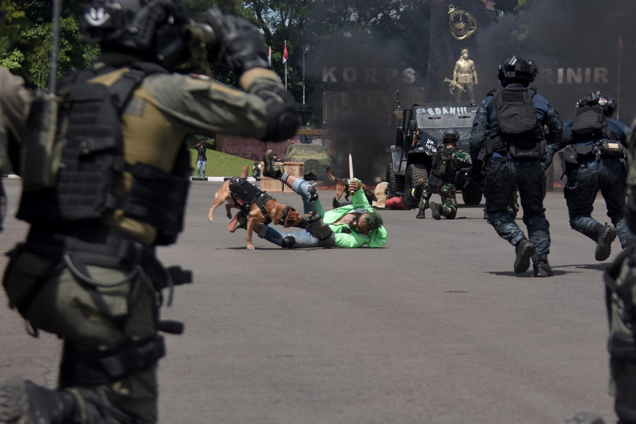 Aksi Heroik Para Ksatria Baret Ungu, pada saat Upacara Peringatan Hari Ulang Tahun (HUT) ke-80 Korps Marinir tahun 2025, Senin (17/11/2025). Foto: Dok-TNI AL/ Dispen Komar