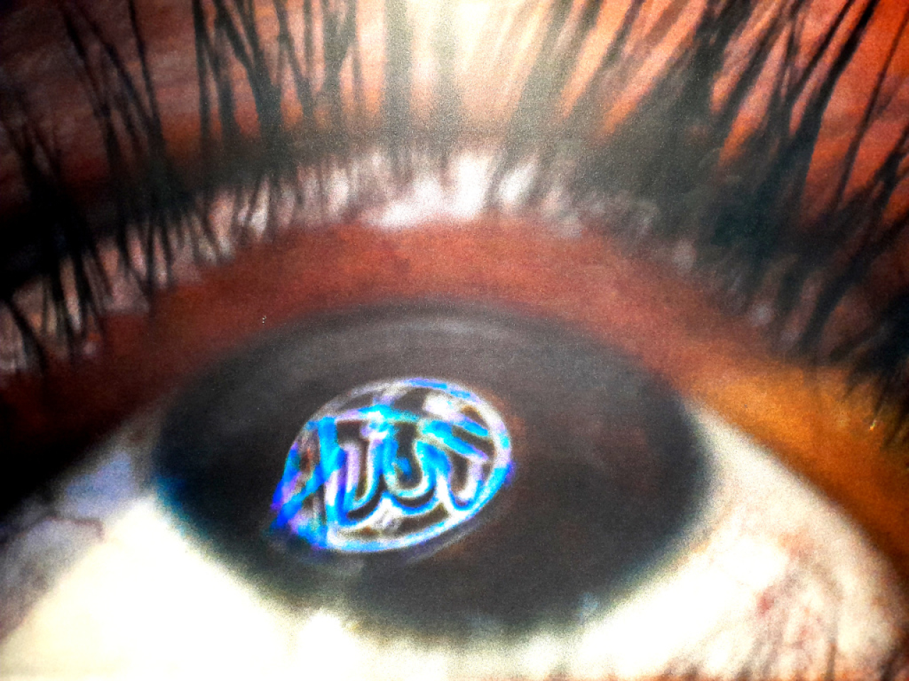 Foto: Ilustrasi/Ciphoc Unitomo