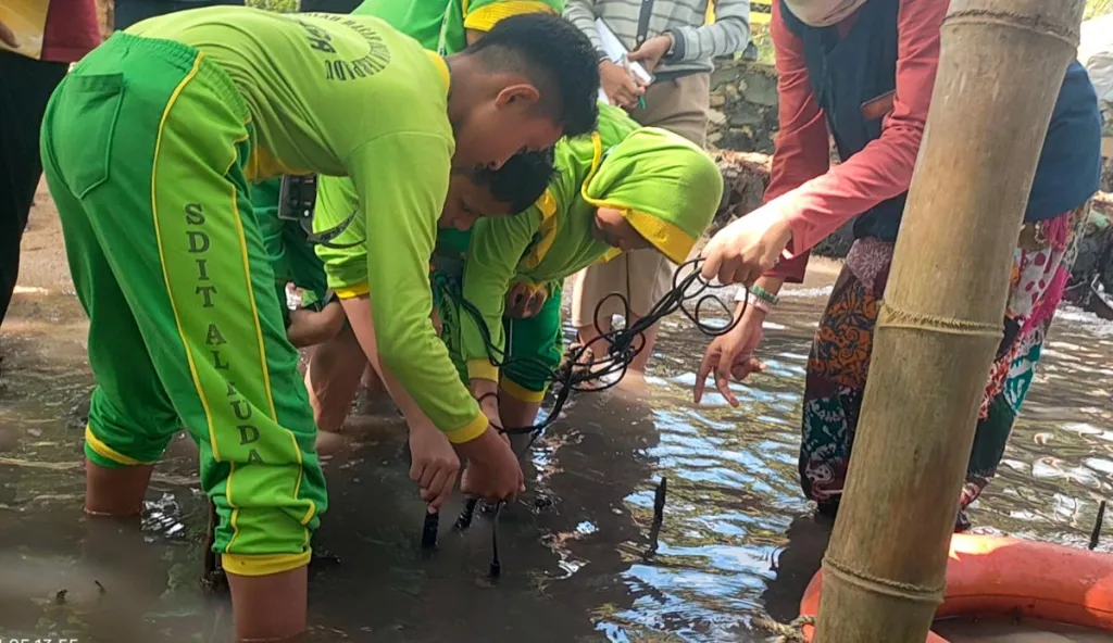 Siswa SD di Bawean Ikut Riset Laboratorium Alam, Deteksi Polusi di Akar Mangrove