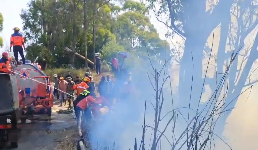Respon Kebakaran Hutan dan Lahan di Bromo, Tim BPBD Jatim Kerahkan Drone Water Spray dan Truk Pemadam Kebakaran