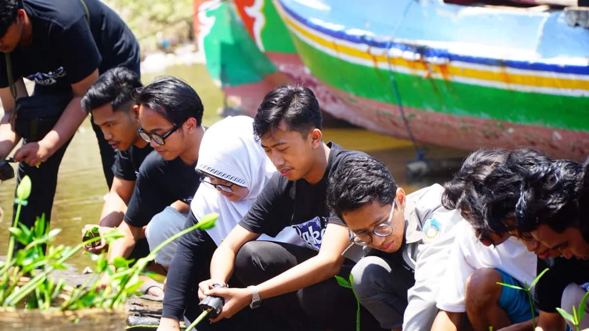 Tampar Kebijakan Sawit Pemerintah, BEM SI dan BEM UNUJA Tanam 500 Mangrove di Pesisir Paiton