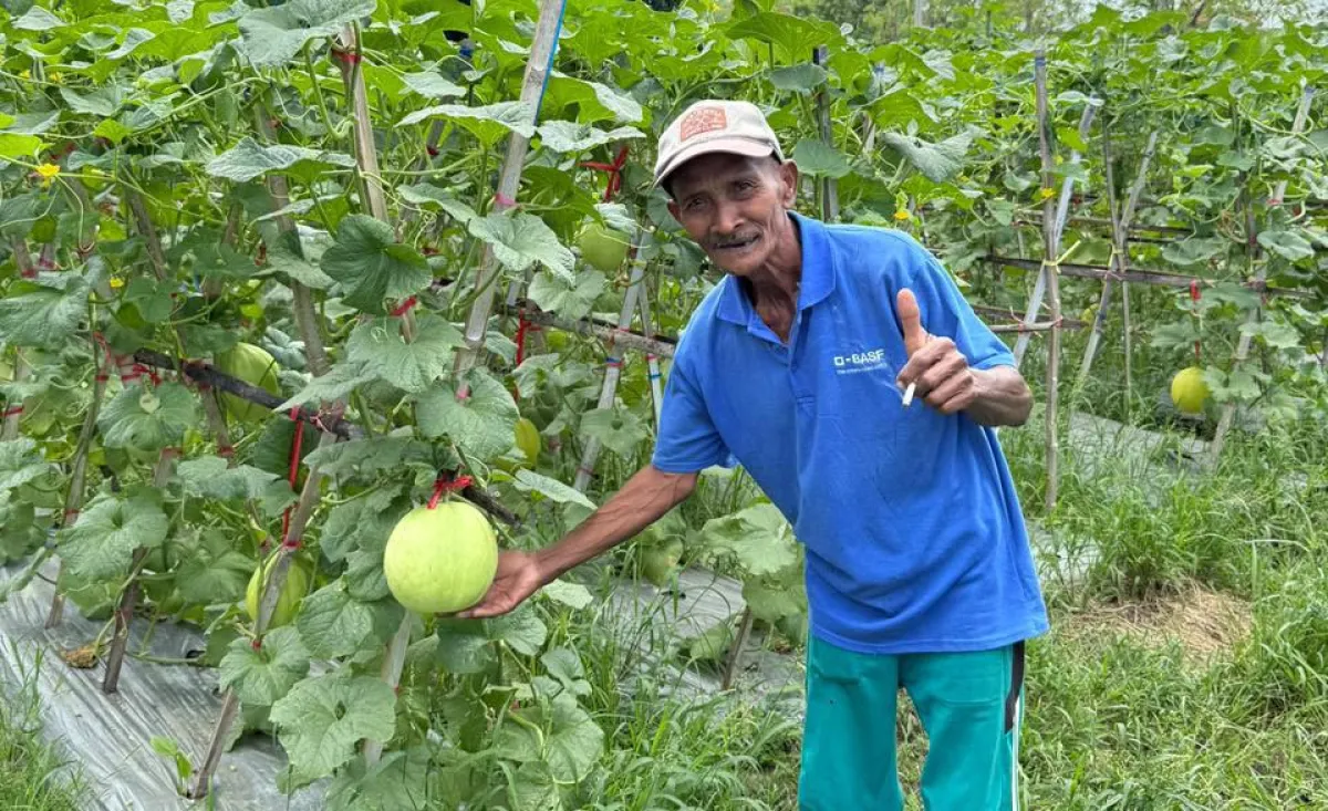 PENS Bawa Teknologi AIoT ke Kebun Melon Petani Sampang