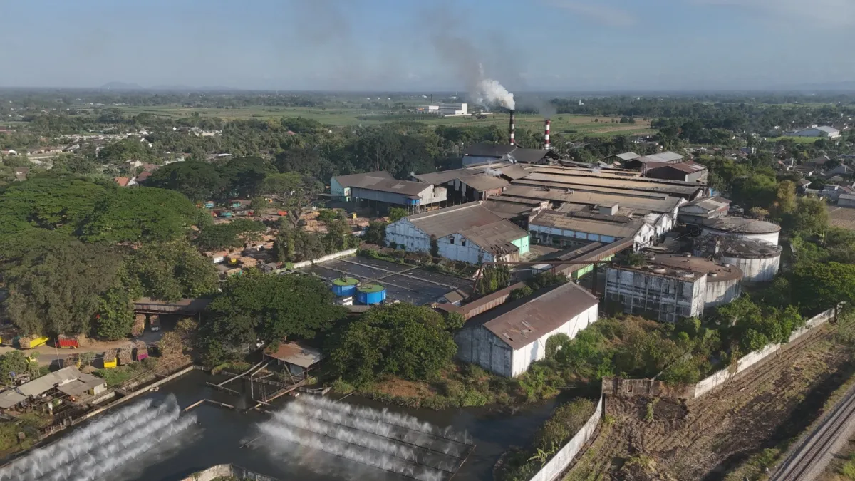 Musim Giling 2026 Berjalan, Petani Tebu Kediri Lega Hasil Panennya Terserap