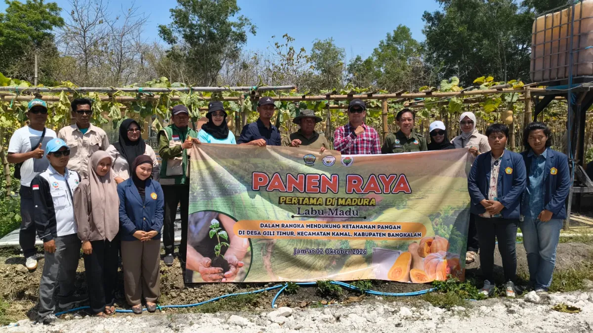Coba Tanam Labu Madu di Lahan Desa, BUMDes Gili Timur Bangkalan Panen 700 Buah